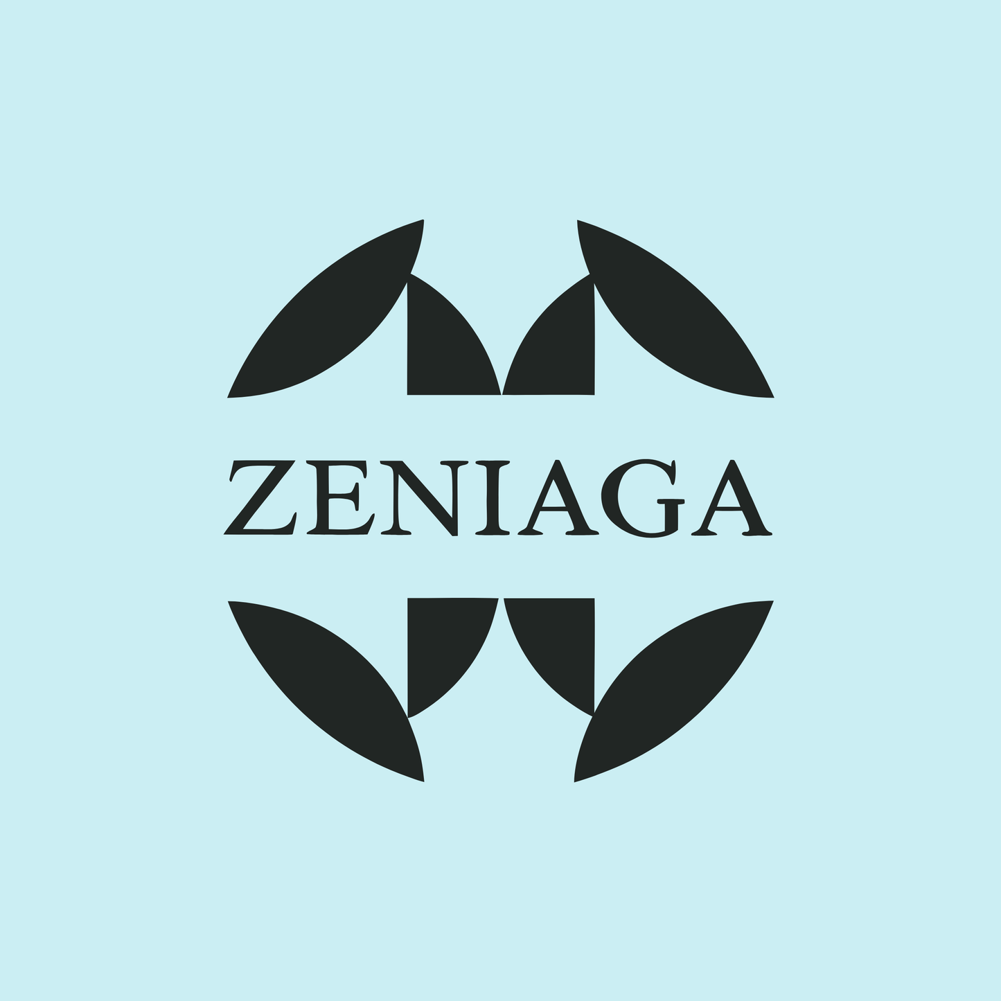 zeniaga.com