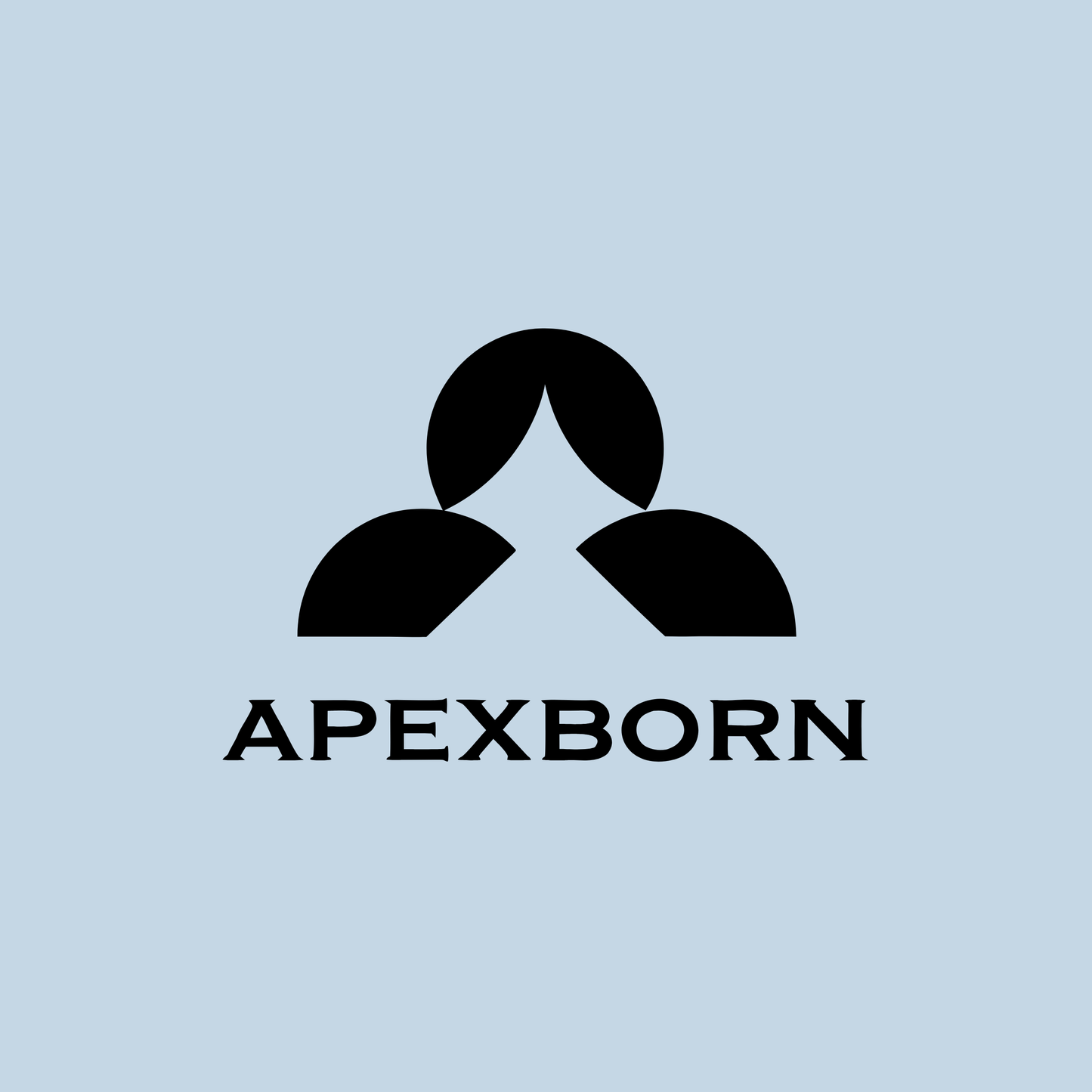 apexborn.com