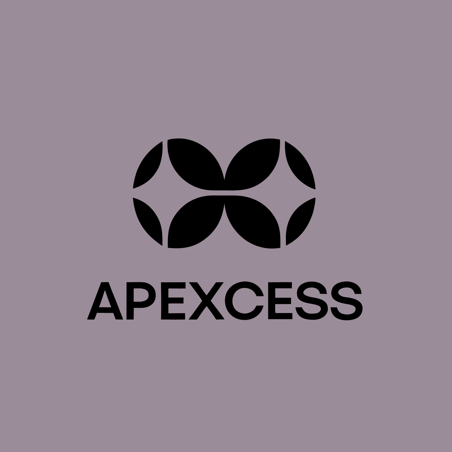 apexcess.com