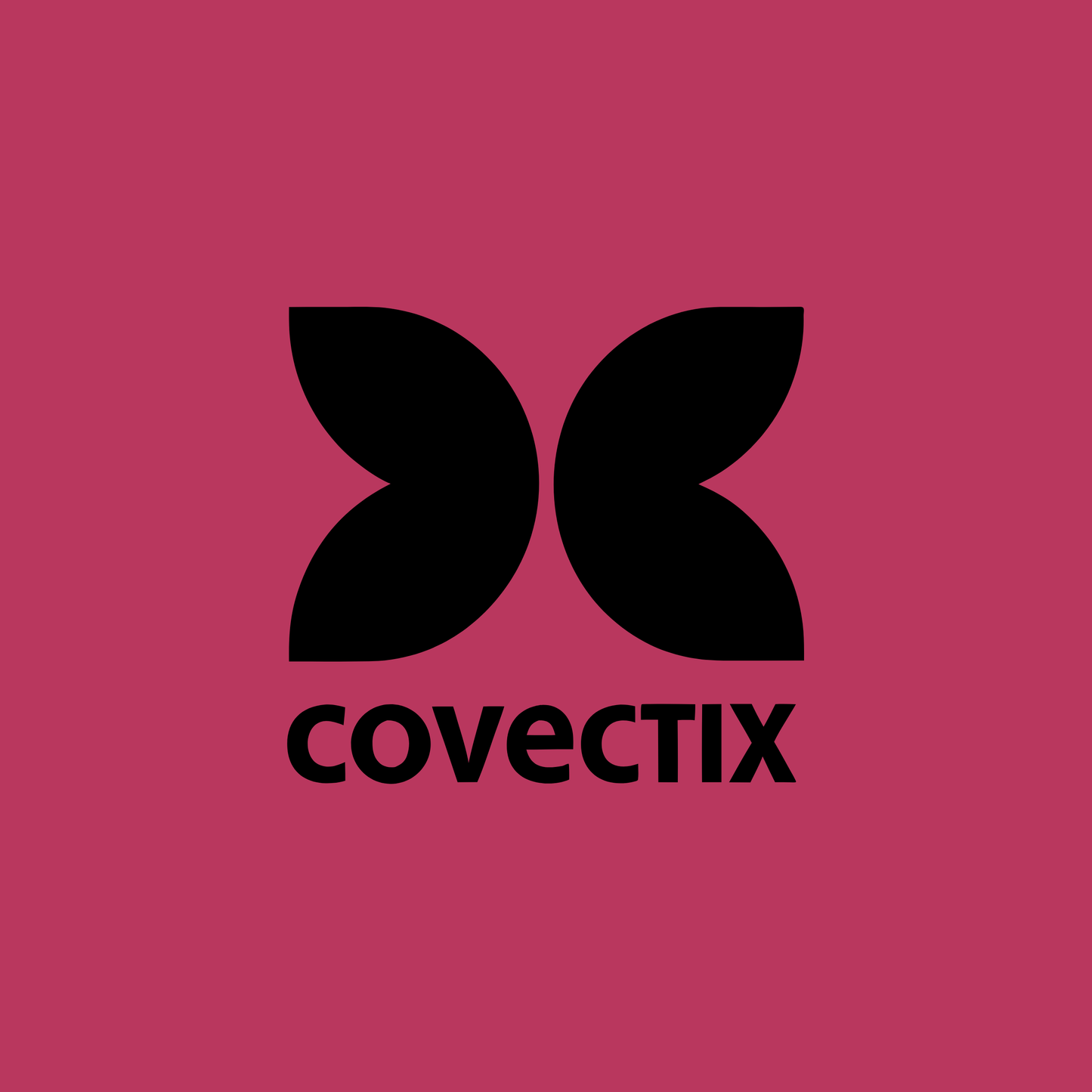 covectix.com