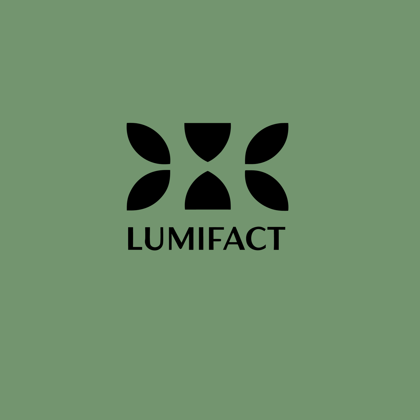 lumifact.com