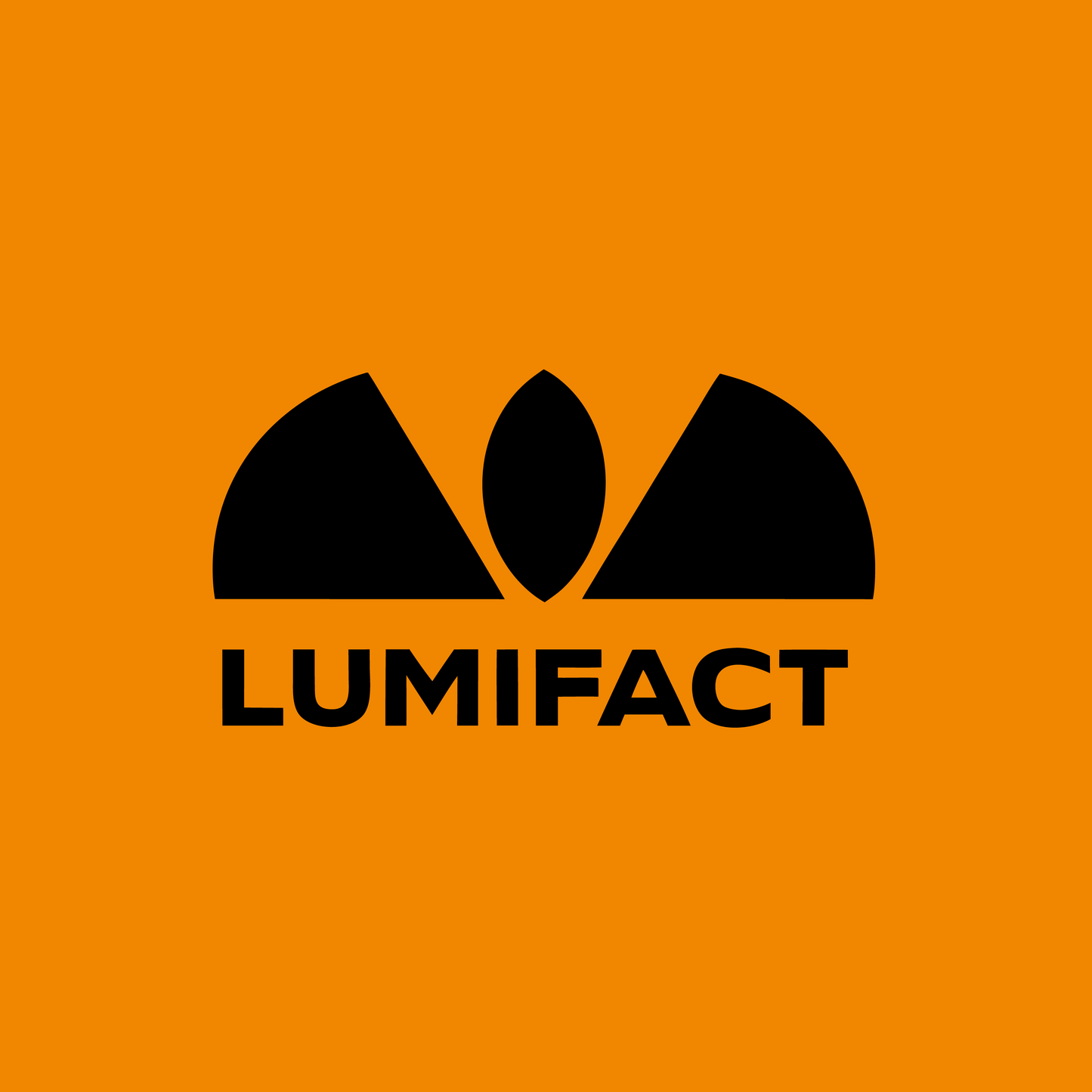 lumifact.com