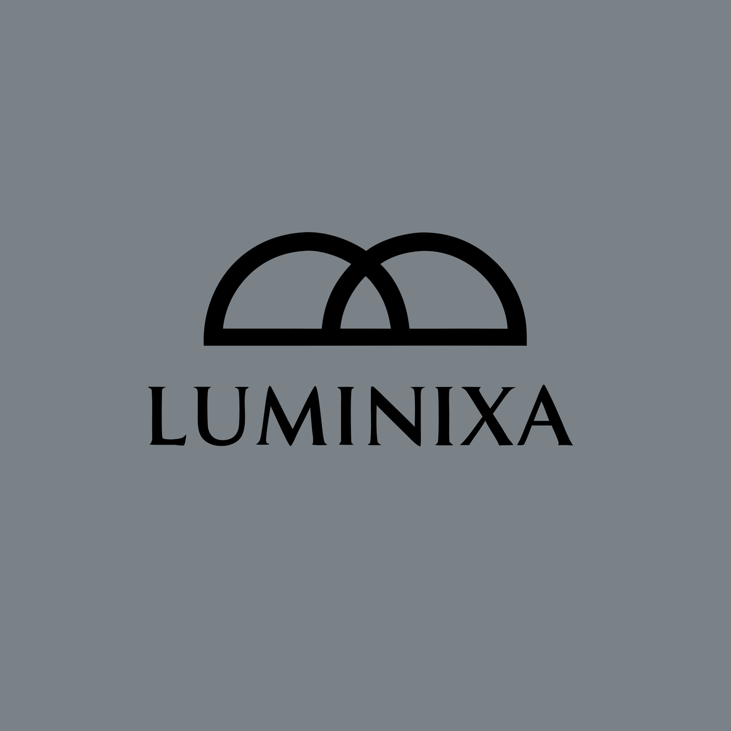 luminixa.com