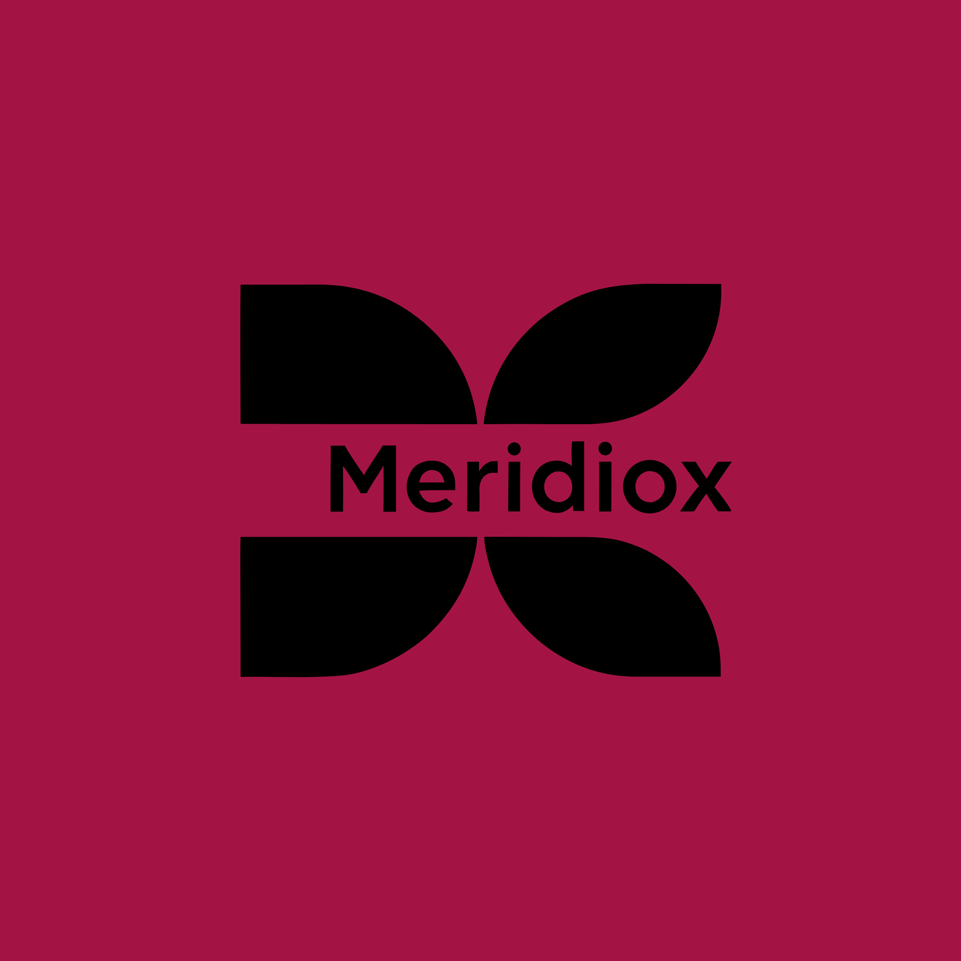 meridiox.com Logo Image