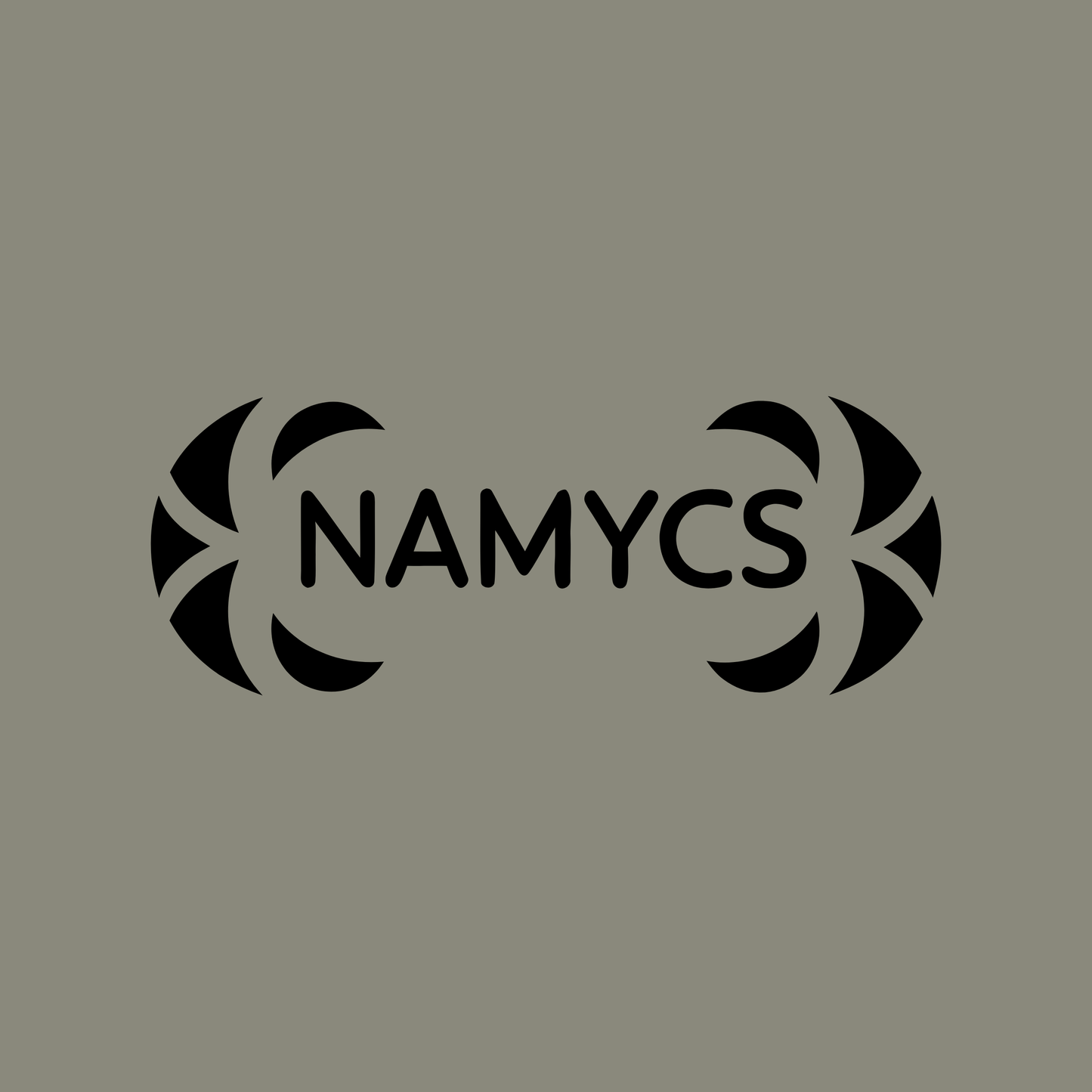 namycs.com