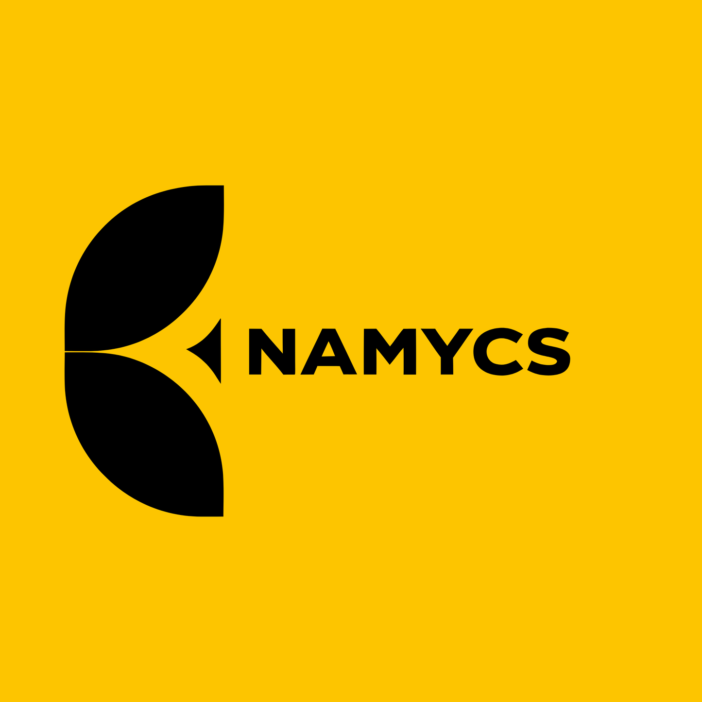 namycs.com Logo Image
