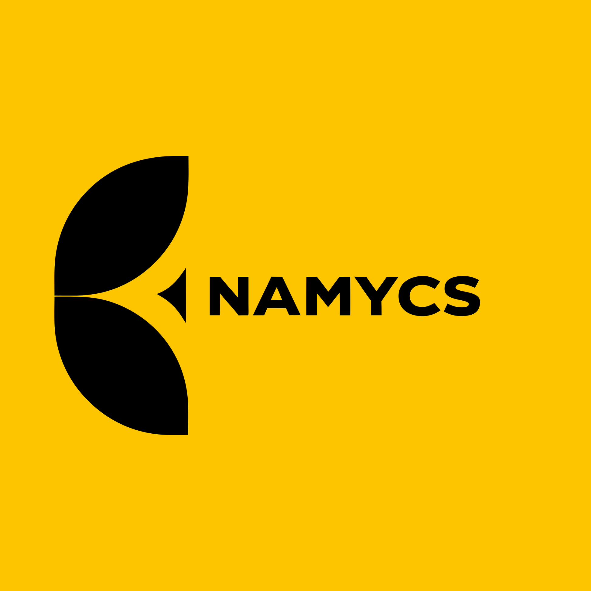 namycs.com Logo Image