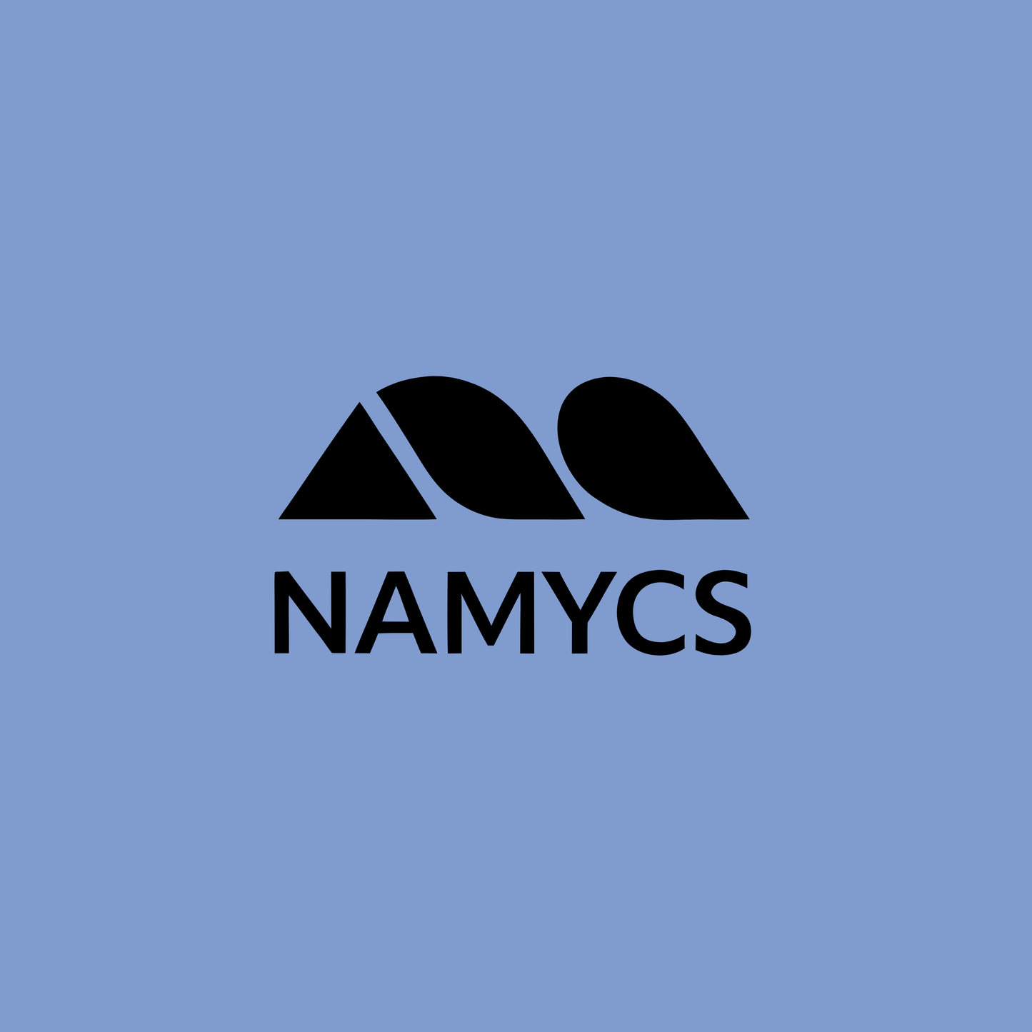 namycs.com