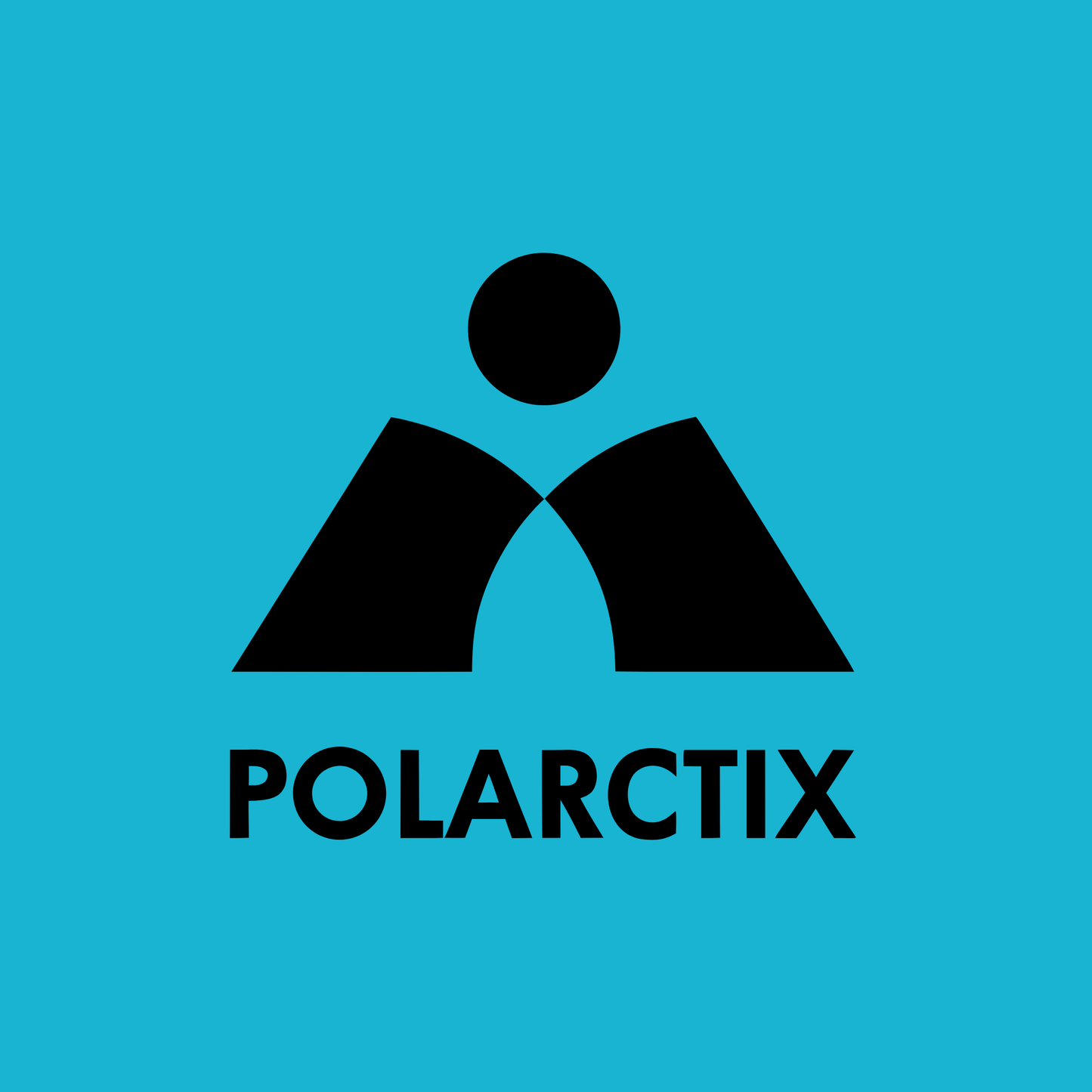 polarctix.com