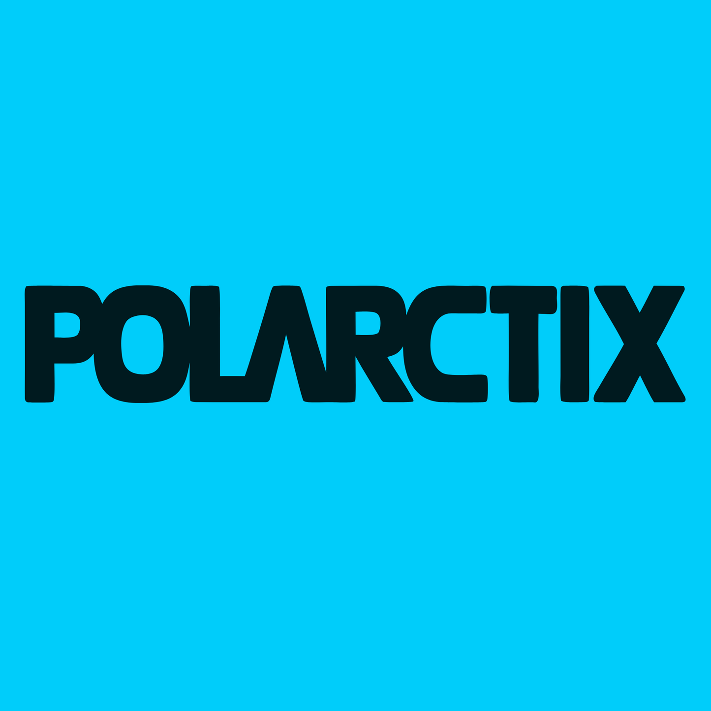 polarctix.com