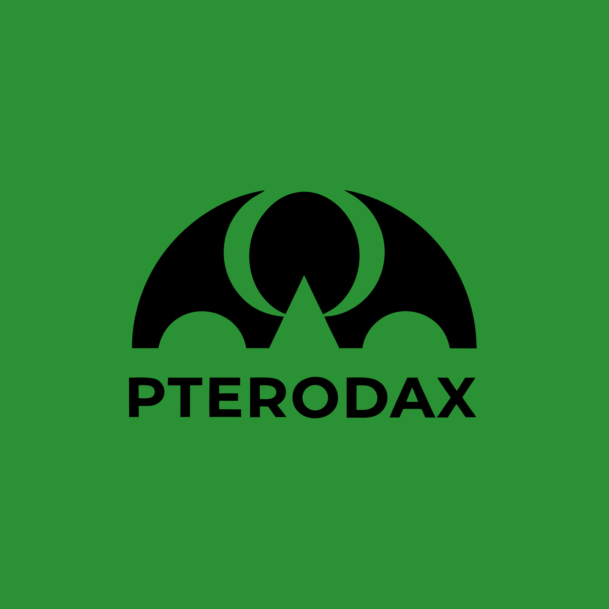 pterodax.com Logo Image