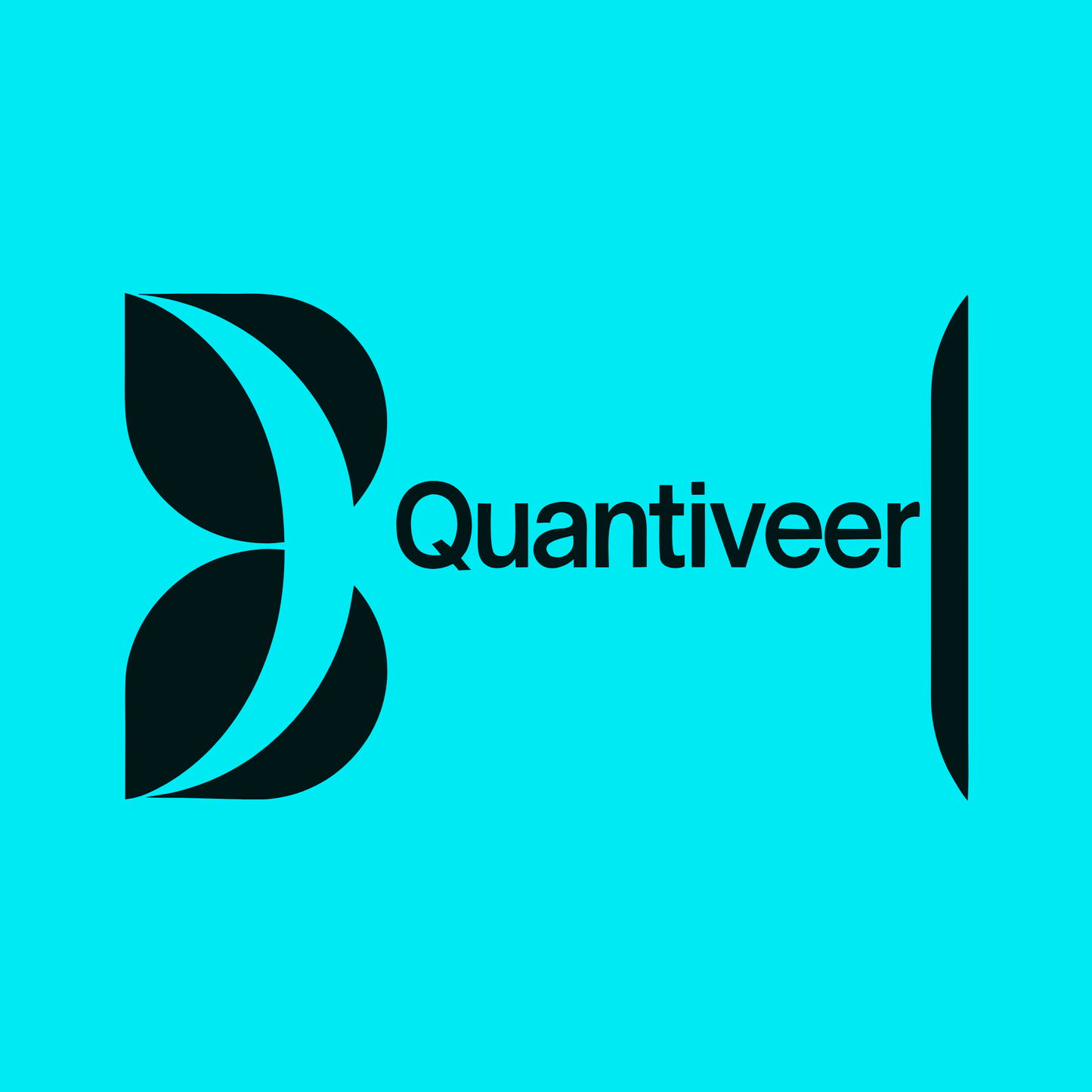 quantiveer.com