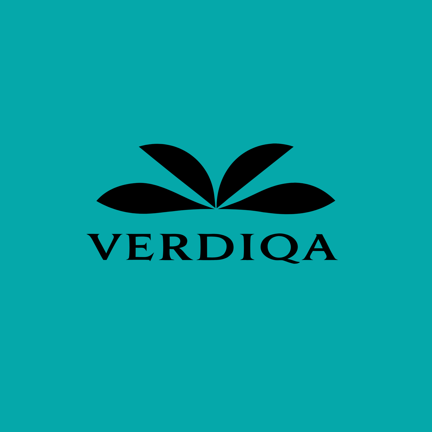 verdiqa.com