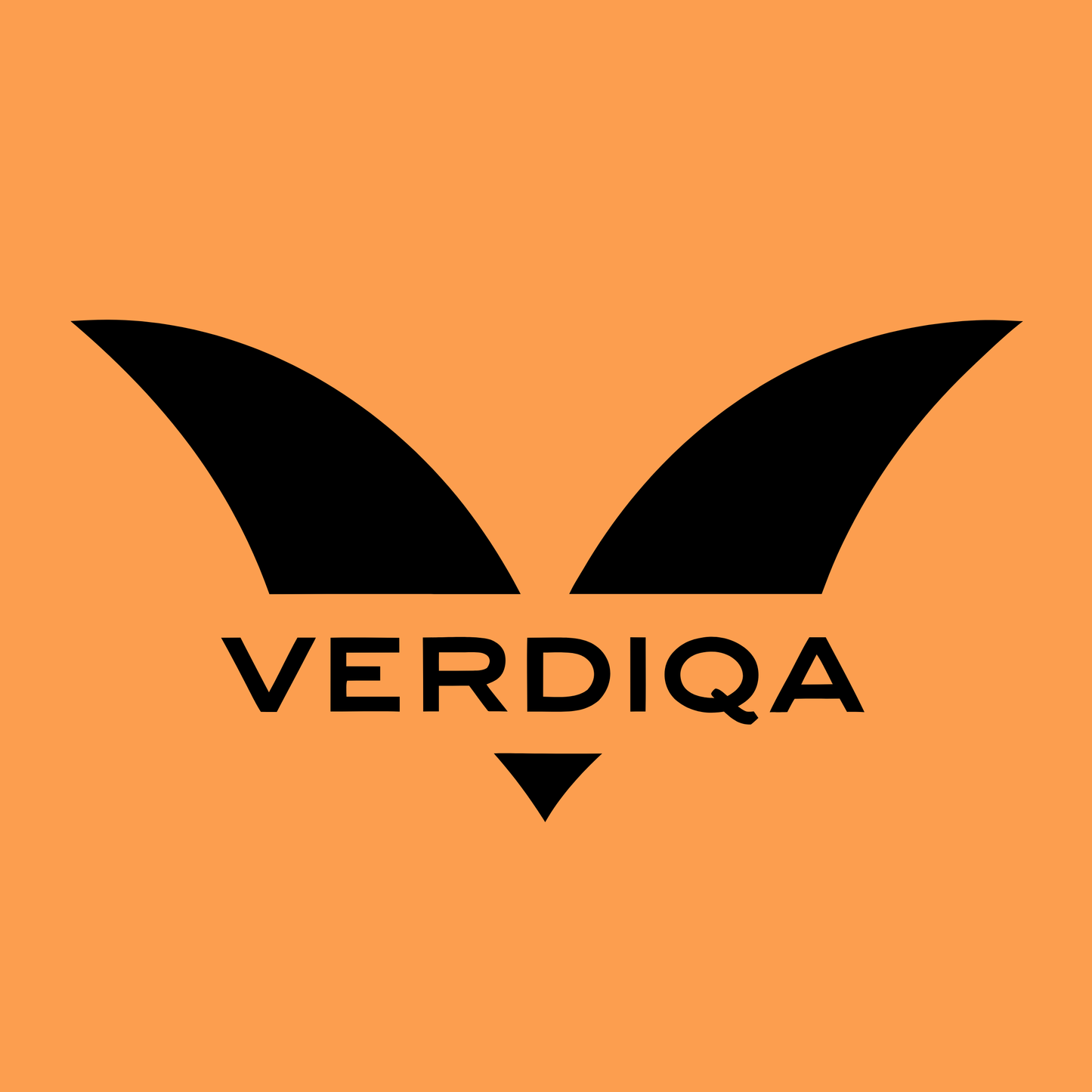 verdiqa.com