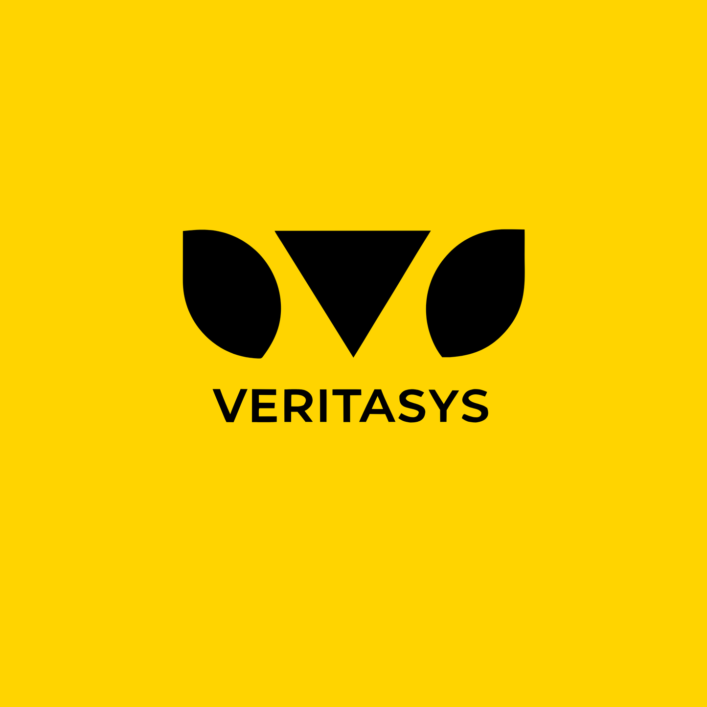 veritasys.com Logo Image