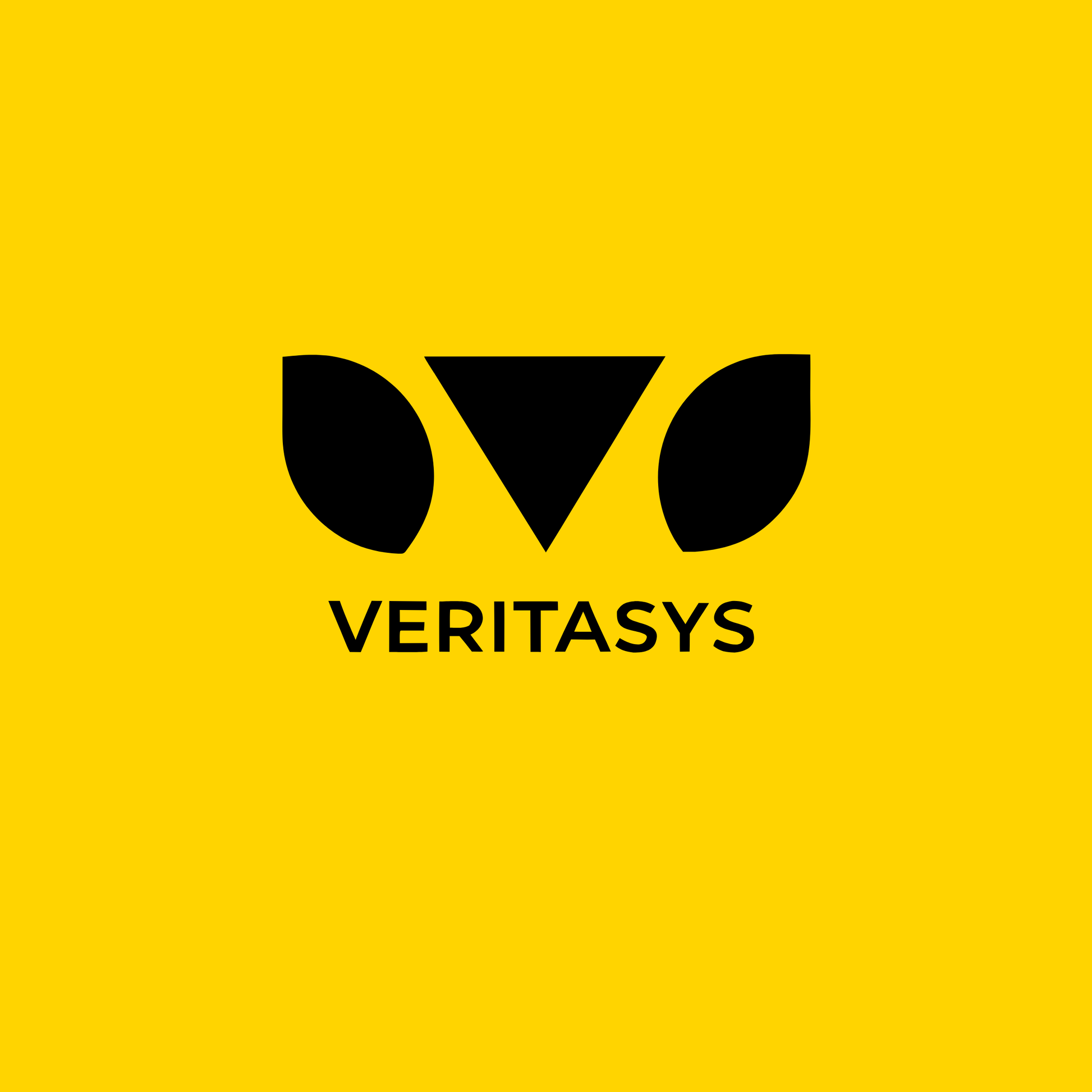 veritasys.com Logo Image
