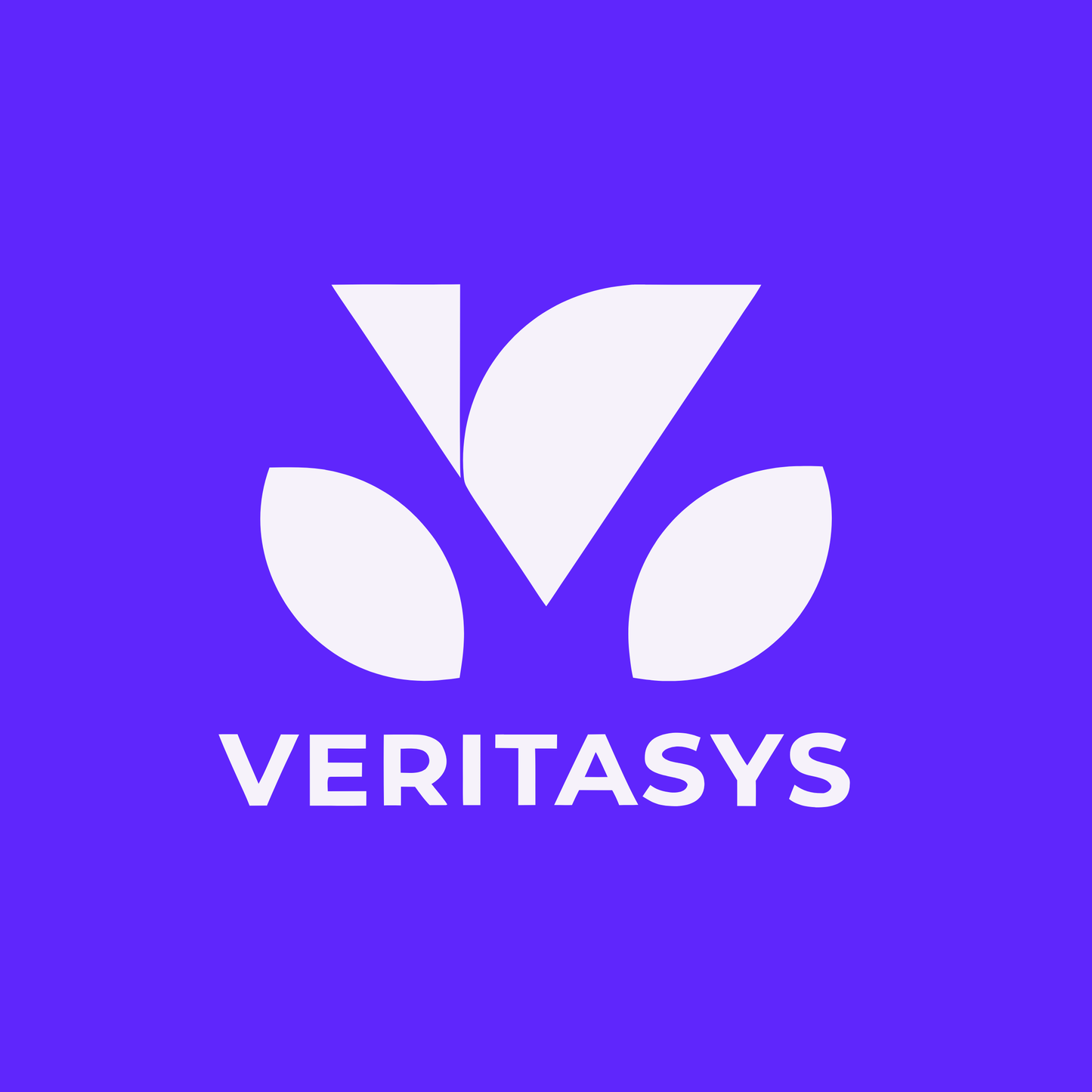 veritasys.com