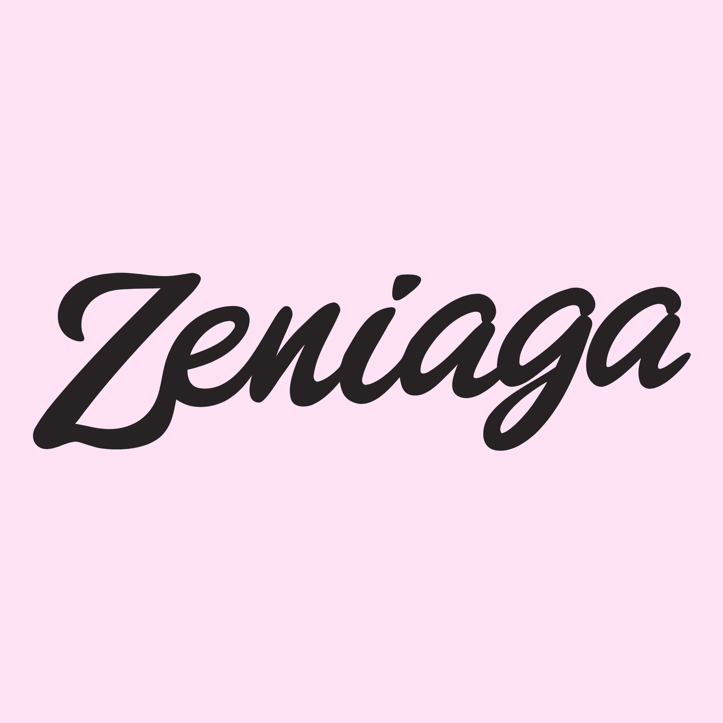 zeniaga.com