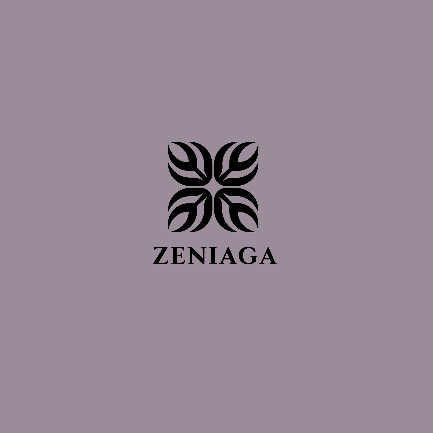 zeniaga.com