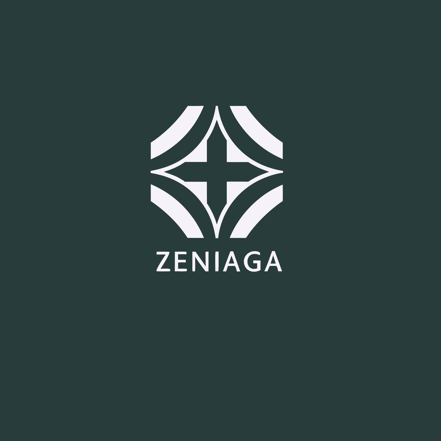zeniaga.com