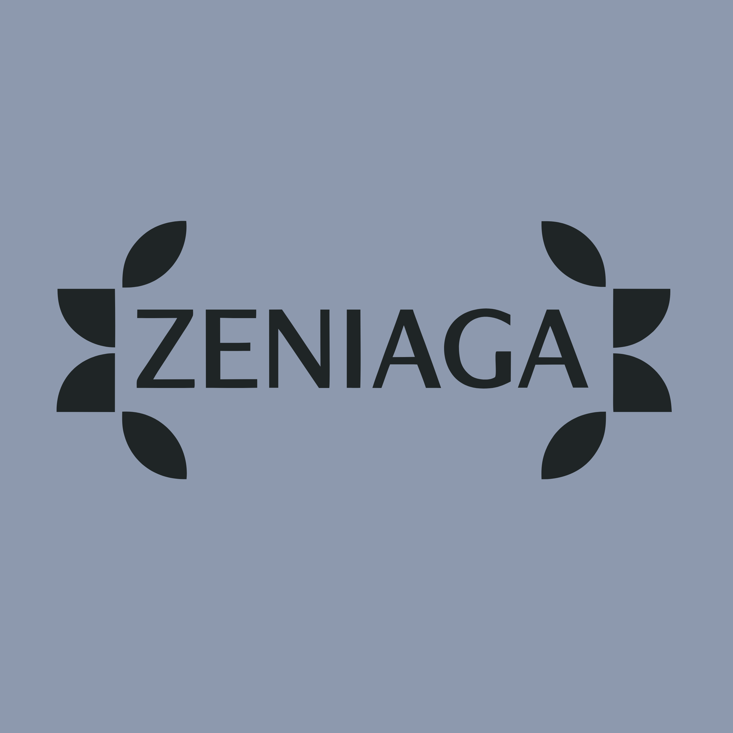 zeniaga.com