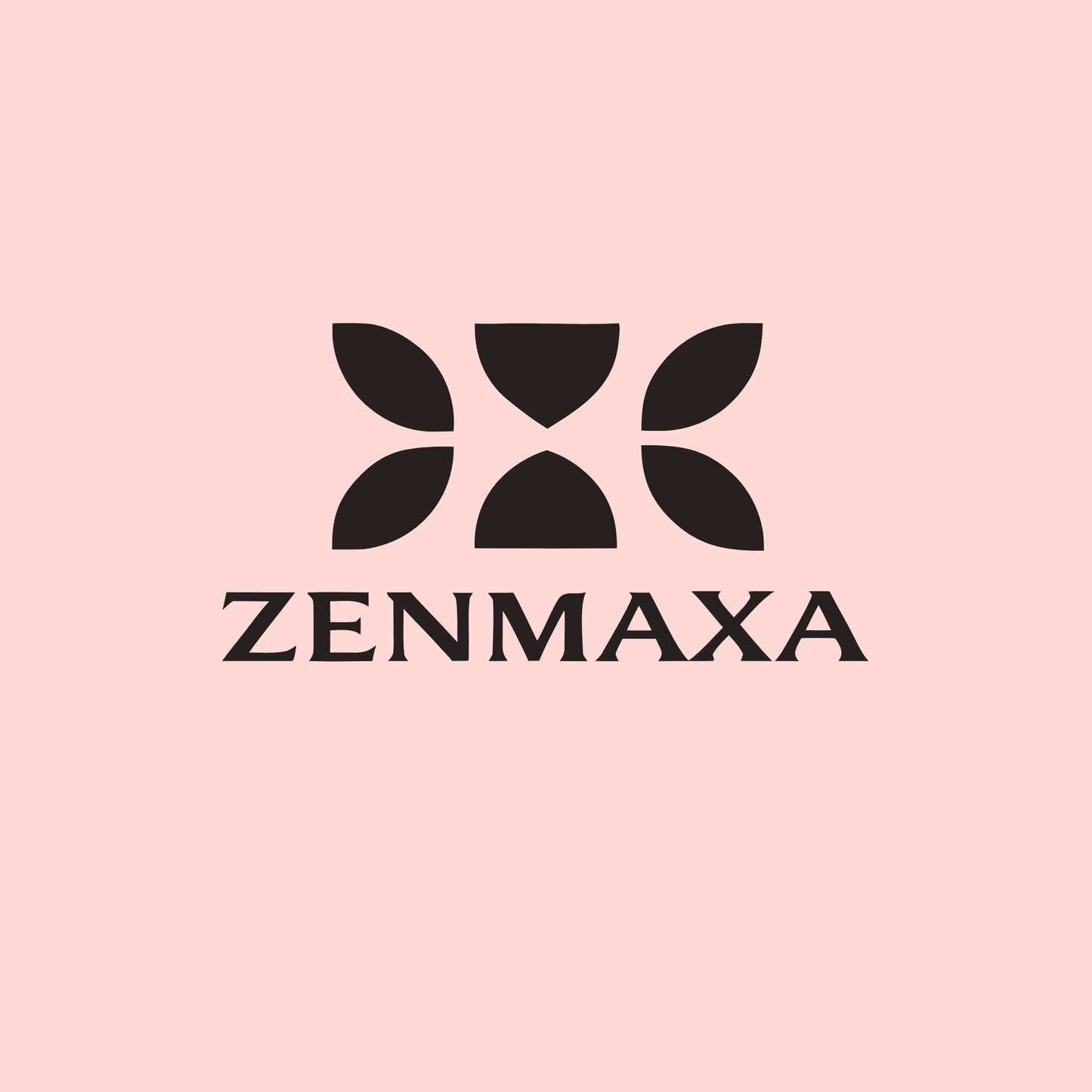zenmaxa.com
