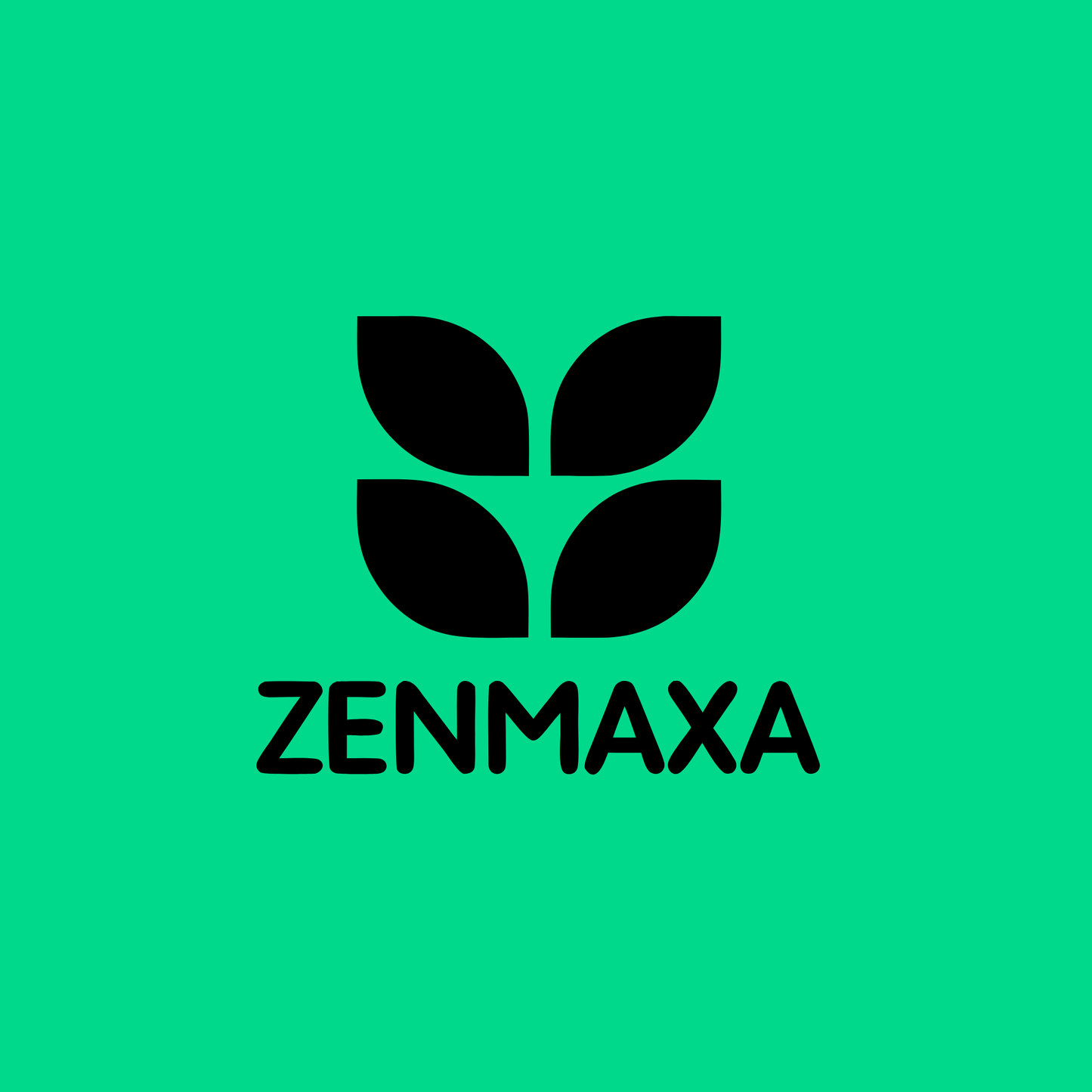 zenmaxa.com