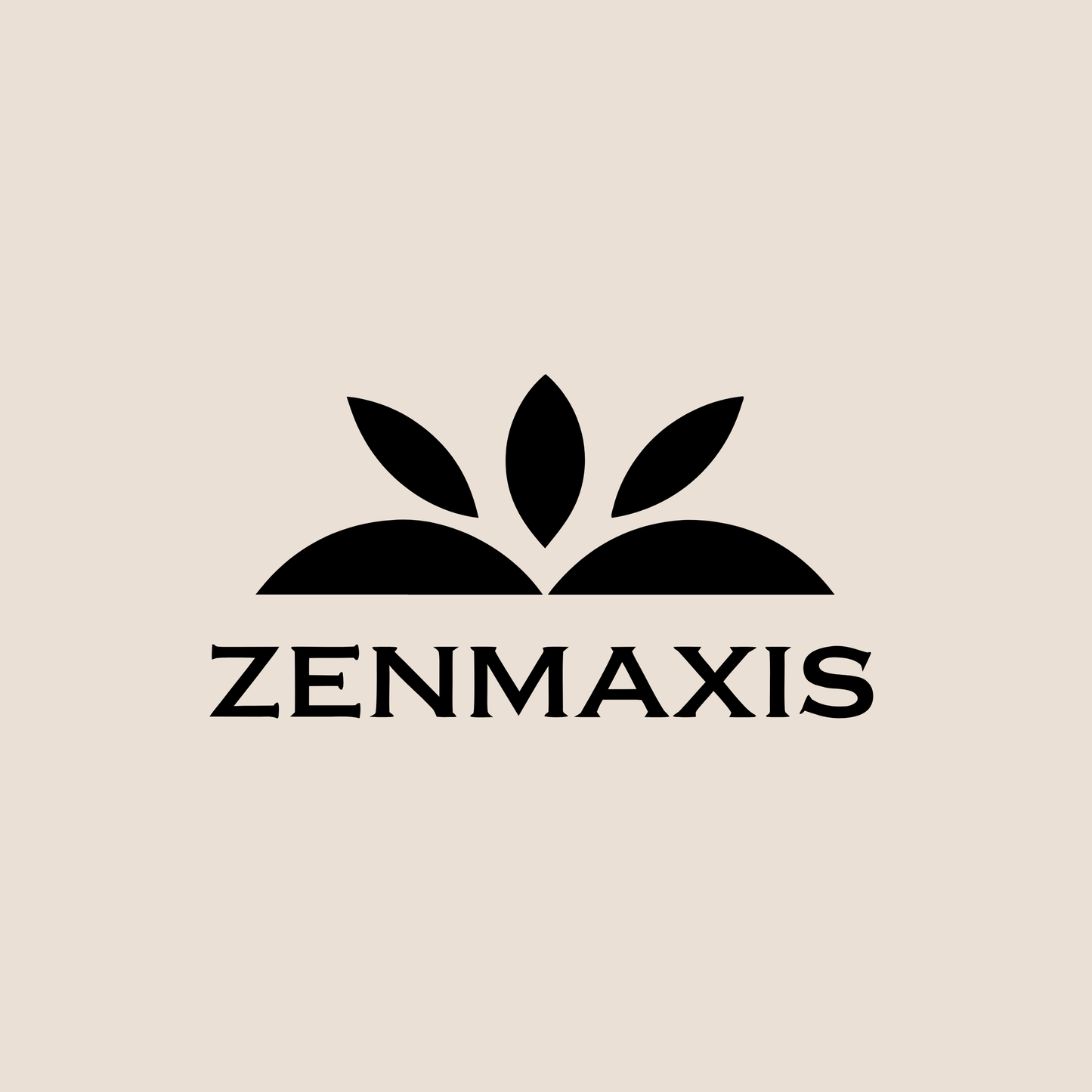 zenmaxis.com