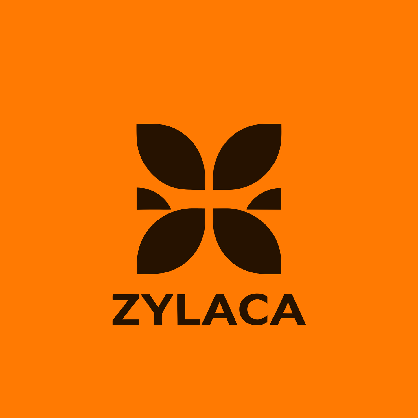 zylaca.com