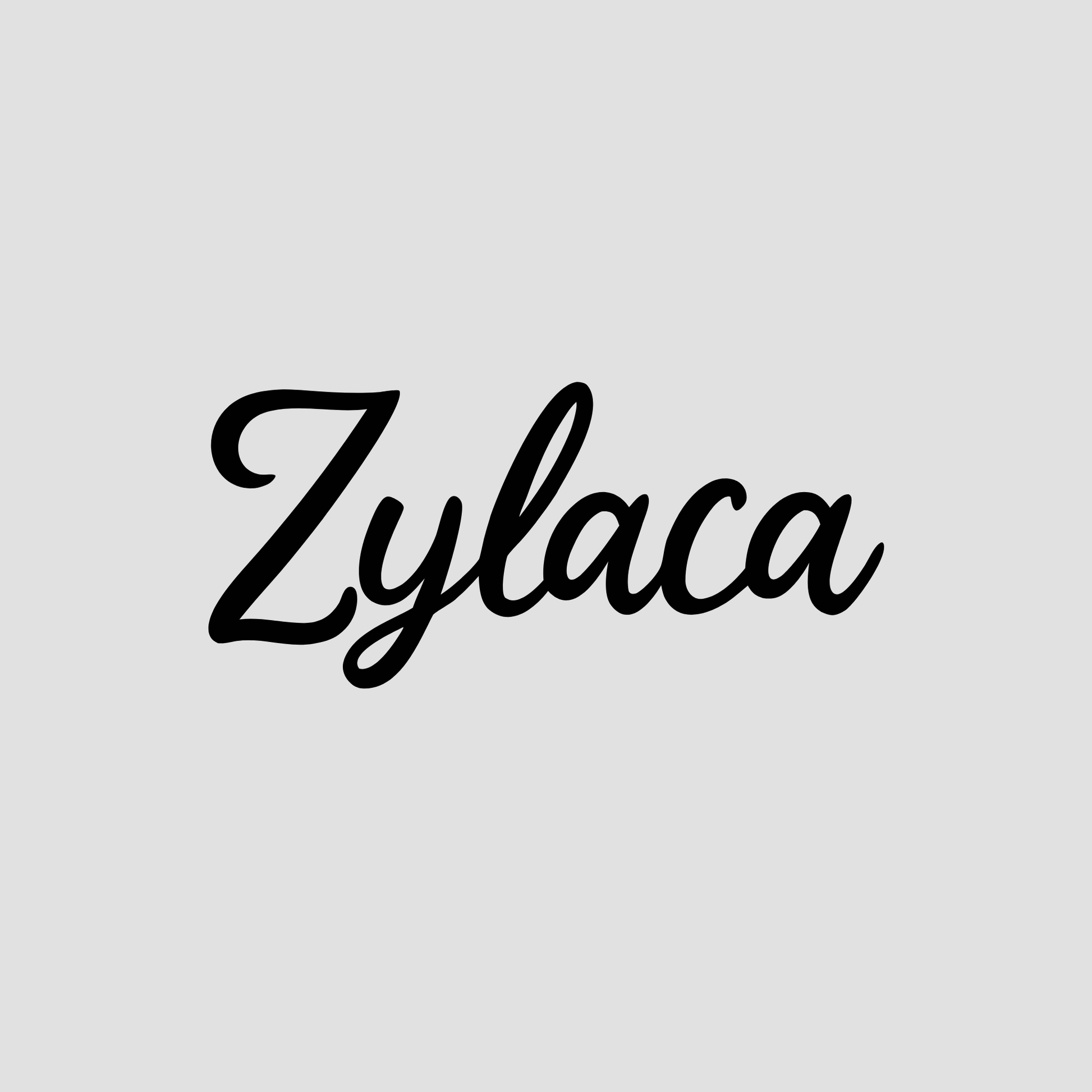 zylaca.com Logo Image